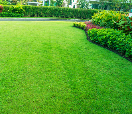 lawn care services in Fairport, NY