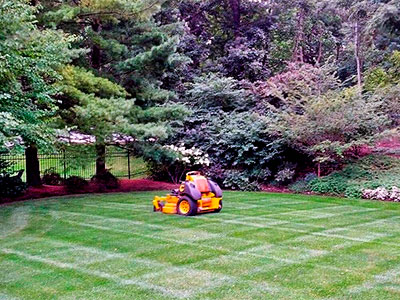 5 TIPS FOR BETTER LAWN CARE