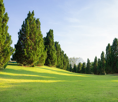 Perinton, NY fertilizing company