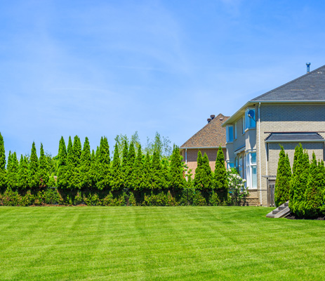 lawn maintenance service in Pittsford, NY