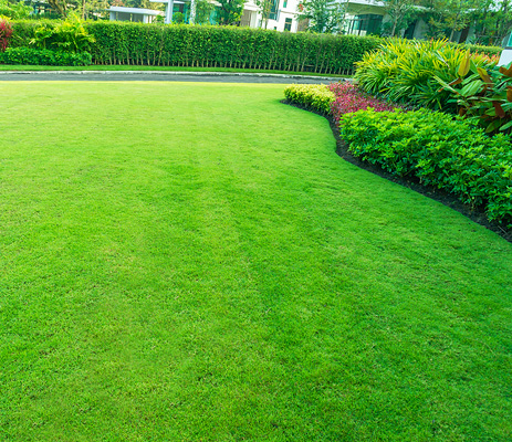 Brighton, NY lawn maintenance service