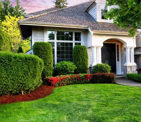 lawn care and maintenance services