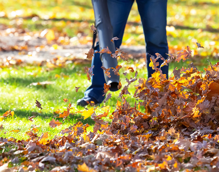 Rochester, NY leaf cleanup service