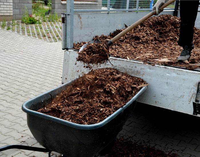 Rochester, NY mulch installation