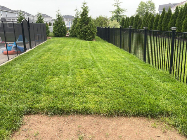 restoration lawn care in Rochester, NY