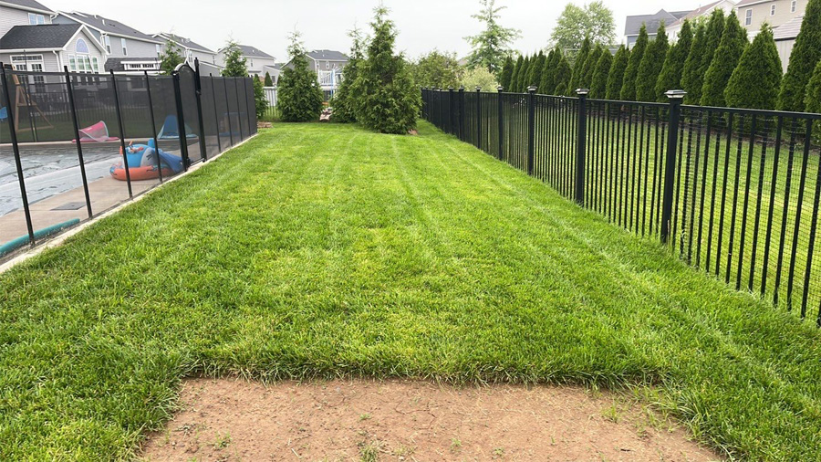 restoration lawn care in Rochester, NY