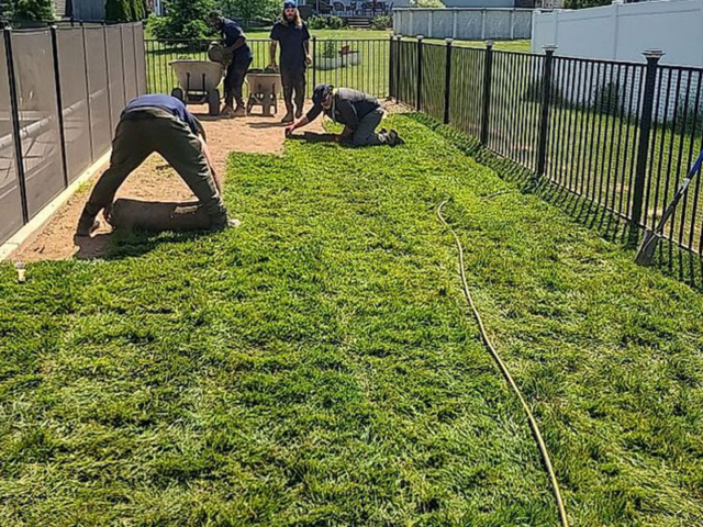 patchy lawn repair service in Rochester, NY