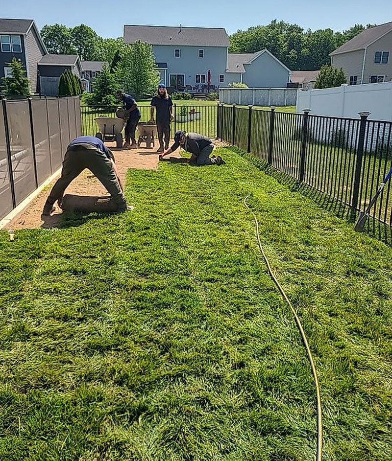 patchy lawn repair service in Rochester, NY