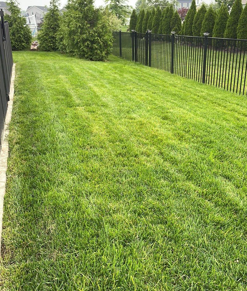 lawn restoration companies in Rochester, NY