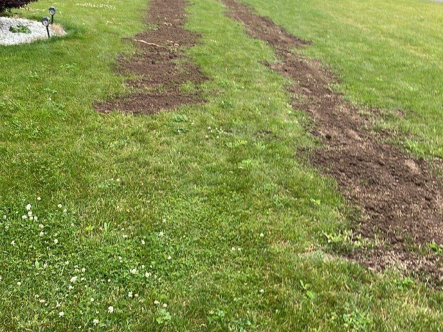 lawn restoration service in Rochester, NY