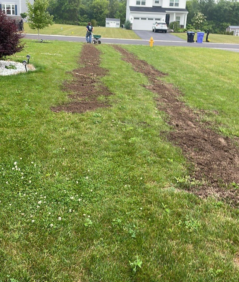 lawn restoration service in Rochester, NY