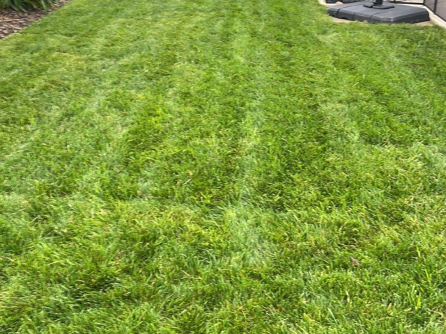 lawn renovation service in Rochester, NY