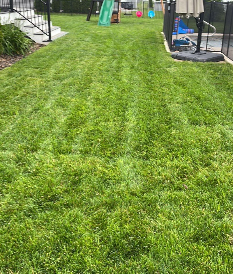 lawn renovation service in Rochester, NY