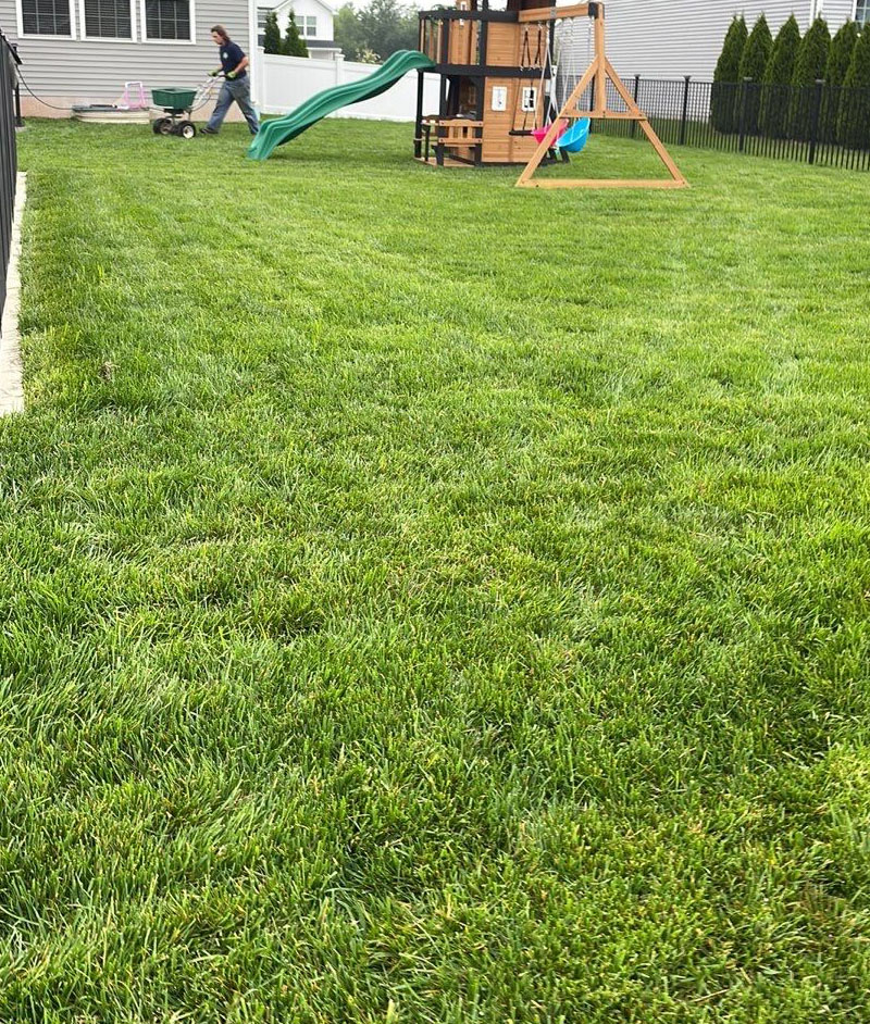 lawn repair company in Rochester, NY