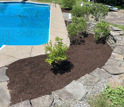 Spencerport, NY lawn maintenance service