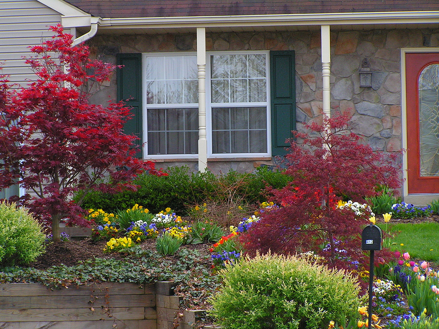 Dreaming of Spring: Set Your Landscaping Plan in Motion