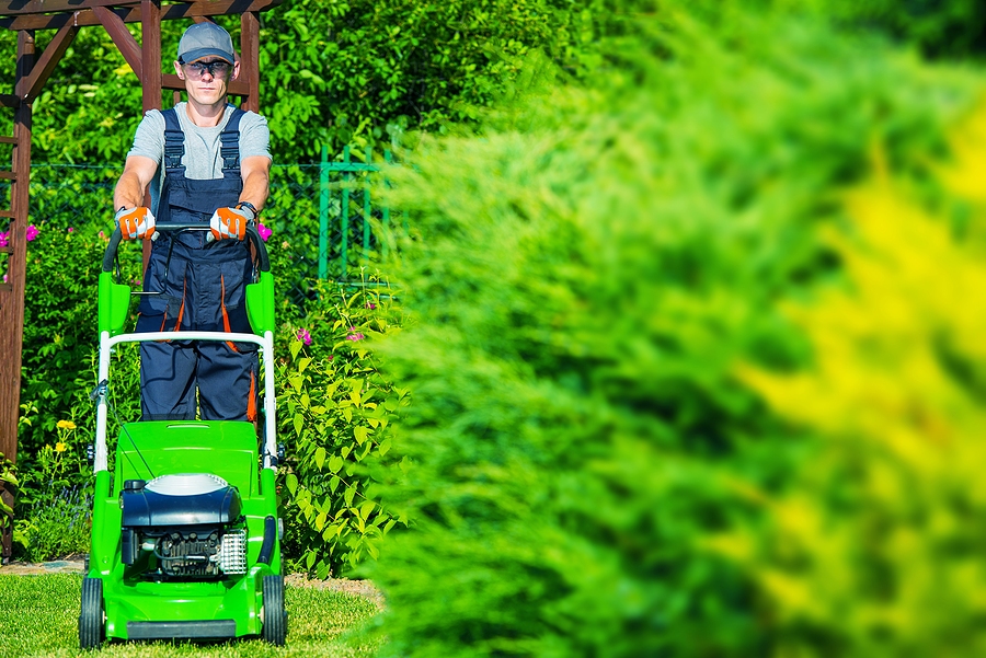 How to Keep Your Lawn Green During a Hot New York Summer