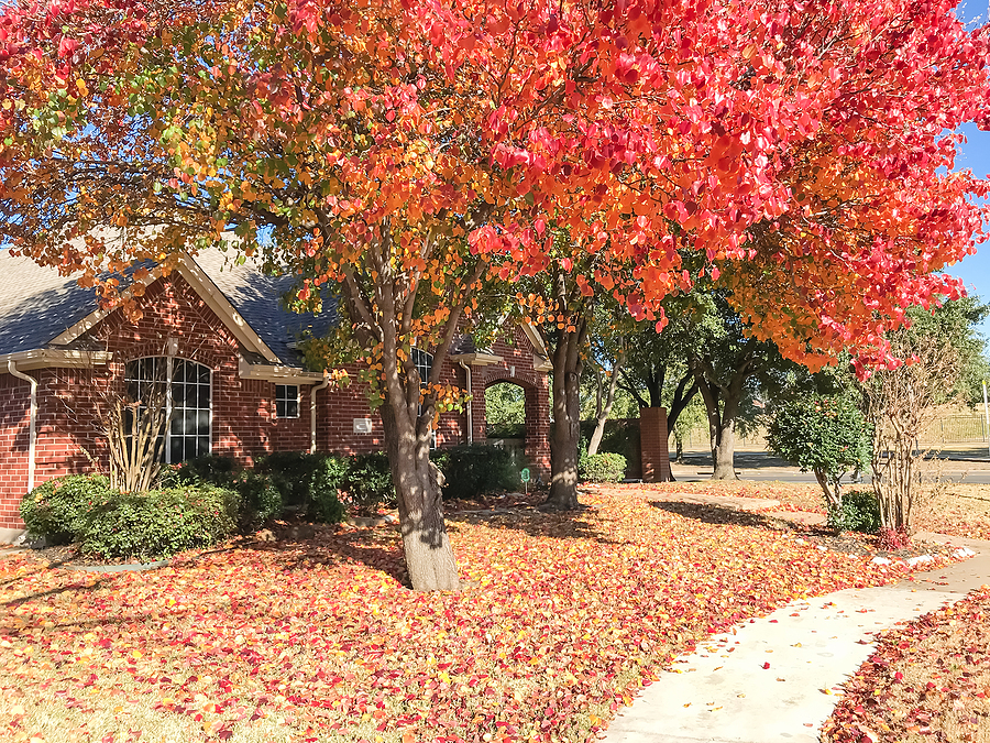 Fall Lawn Care Tips: The Importance of Leaf Cleanup this October