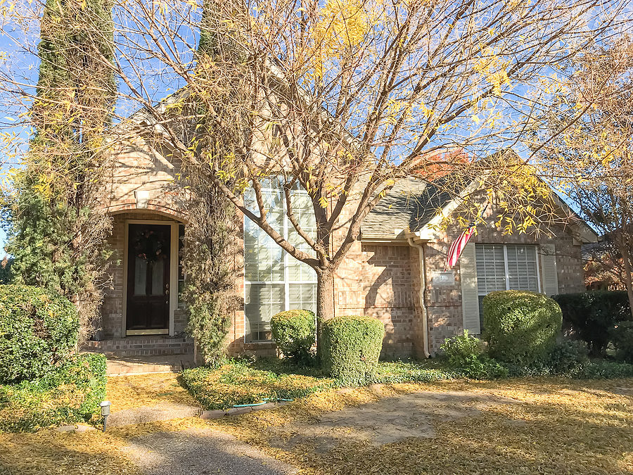 Last Mow of the Season: How to Prepare Your Lawn for Spring