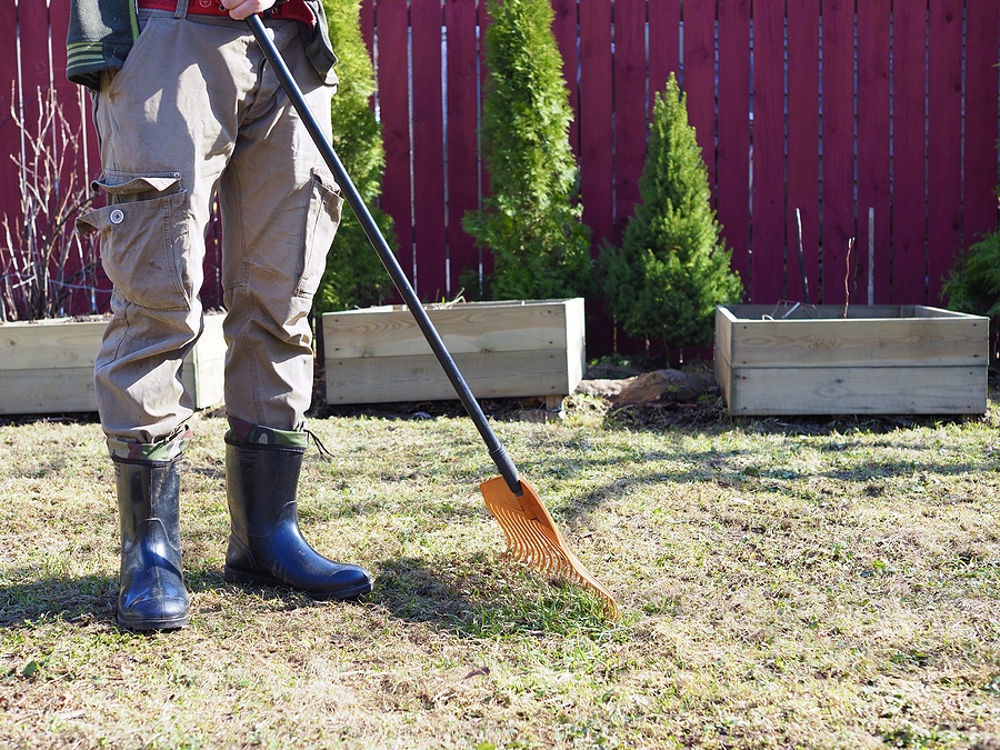 Rochester Spring Cleanup & Lawn Tune-Up: Book Now