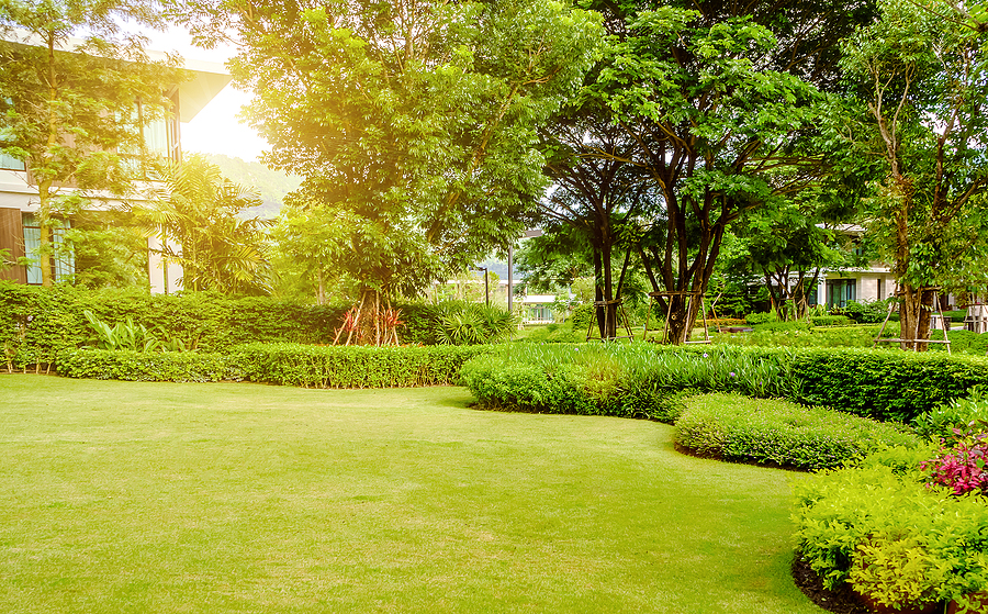Fall Fertilizer Timing: What New York Lawns Need Now